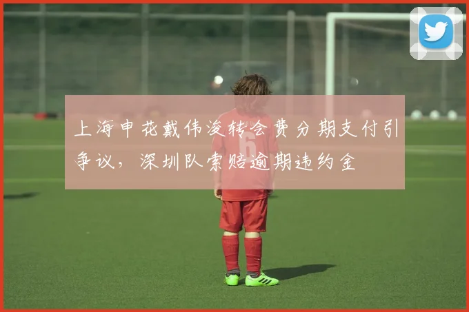 上海申花戴伟浚转会费分期支付引争议,深圳队索赔逾期违约金